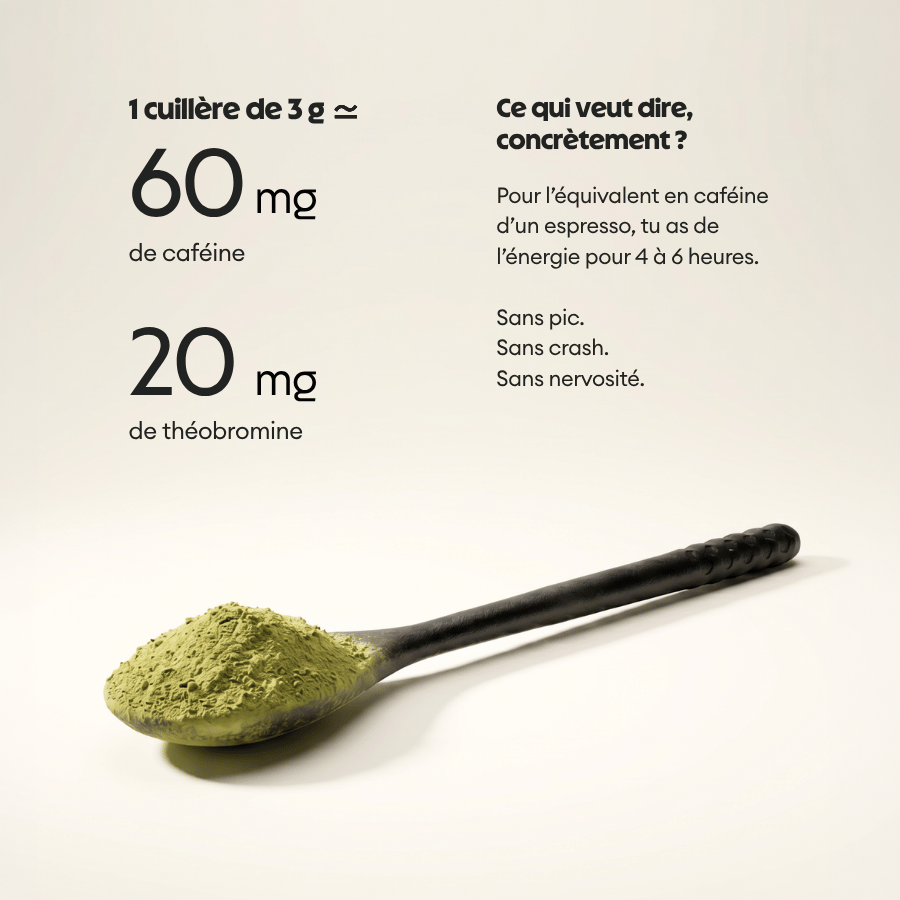 Maté vert